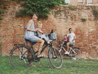 Детское велокресло Bellelli Rabbit B-Fix (серебристый)