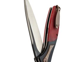 Складной нож Reptilian Корюшка-02, сталь VG-10, рукоять черный G10/красная микарта