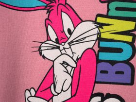 Платье из футера с начесом с принтом Looney Tunes