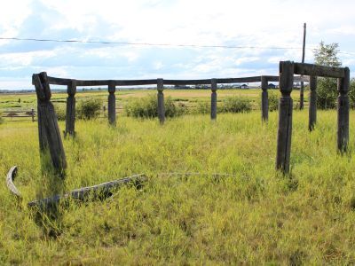 Остатки каркаса якутской берестяной урасы, XIX в.