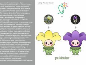 В Якутии началось голосование за талисман фестиваля «Муус Устар»