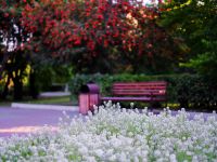 Сквер «Космонавтов»