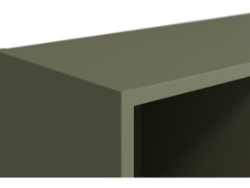 Полка Стор 70x136 Оливковый