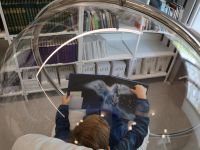 Модельная библиотека «Своя территория»