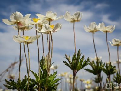 В Якутии пройдет детский дальневосточный фестиваль кино «14 кадр»