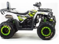 Квадроцикл MOTOLAND 200 Wild Track Lux ( Баланс. вал) (2021 Г.)