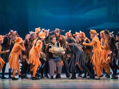 Билеты на VКрасной Шапочке (Театр оперы и балета) / Театр | Афиша | ИнфоТаймс