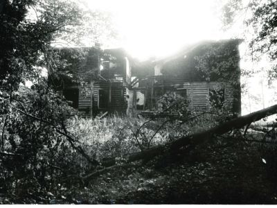 Усадьба Груза. Парк регулярно-пейзажной планировки