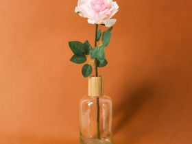 Цветок Sardegna, розовый