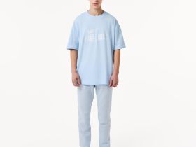 Мужская хлопковая футболка Lacoste