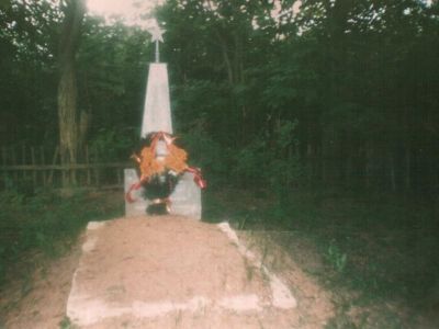 Могила лейтенанта Мартынова К.С., погибшего в бою с фашистскими захватчиками в 1943 г.