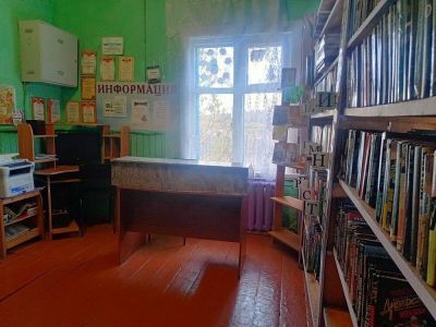 Борзовская сельская библиотека – филиал № 35