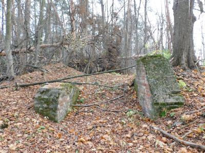 Водовзводная башня в Горятинской роще (опоры)