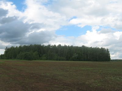 Священная роща
