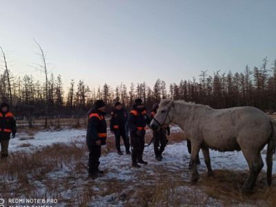 Провалившуюся под лед лошадь спасли в Верхоянском районе