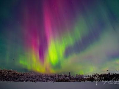 Переливы северного сияния засняли в окрестностях Якутска