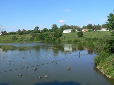 Усадьба С.Н. Пушешниковой, сер. XIX в.