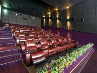 Кинотеатр Pioneer Cinema