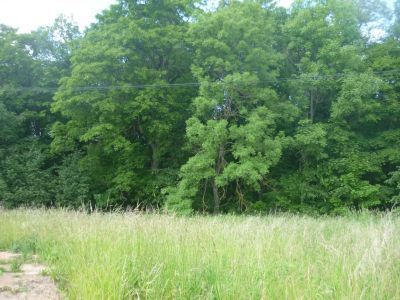 Парк с элементами гидросистемы (ручей с порогом, остатки плотины)