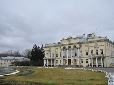 Ансамбль Александринского дворца с росписью