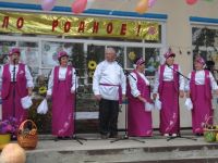 Греково-Степановский сельский дом культуры