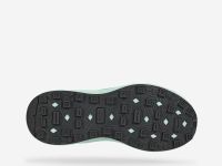 Кроссовки женские Terra Max Nitro WP