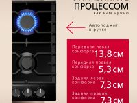 Газовая панель Hansa BHGS611839