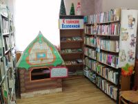 Елатомская сельская библиотека