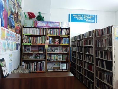 Нижнезаитовская сельская библиотека