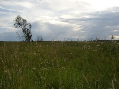 Памятник воинам, погибшим в годы Великой Отечественной войны (1941 - 1945 гг.)
