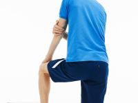 Мужское поло Lacoste L1212 классического кроя