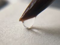 Палитра-веер складная, большая