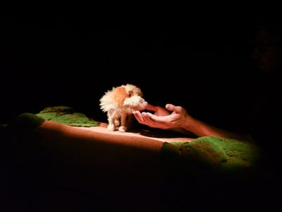 Билеты на Умная собачка Соня (Karlsson Haus на Фонтанке) / Театр | Афиша | ИнфоТаймс