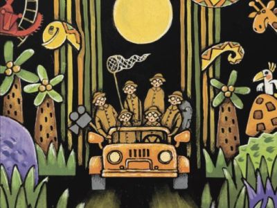 Любопытный слонёнок