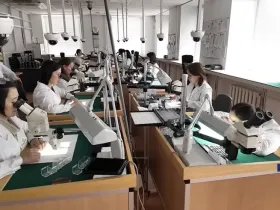 Искусственный интеллект в АЛРОСА в поисках сверхкрупных алмазов