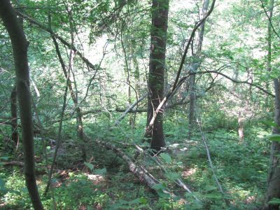 Родина поэта-публициста Ф.Н. Глинки