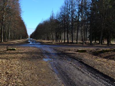 Ворота Ижорские ("Этюпские")