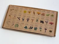 Набор пастели сухая, мягкая ручной работы EARTHBERRY "Полевые цветы", 30 цветов