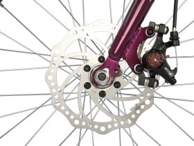 Детский велосипед Novatrack Alice Disc 20, год 2021, цвет Фиолетовый