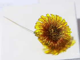 В Якутске открылась выставка Маргариты Зиминой «Цветы России»