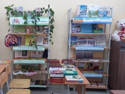 Большеманадышская сельская библиотека