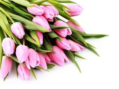 Пенсионный фонд Якутии: «Пусть самоотверженность и труд вернутся вам заботой детей»