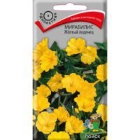 Мирабилис Жёлтый леденец