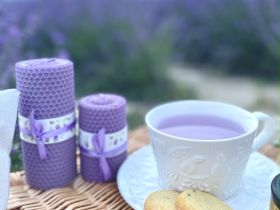 Фотосессия в Провансе