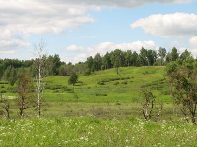 Памятное место, где в 1812 г. начинались боевые действия военно-партизанского отряда Дениса Давыдова