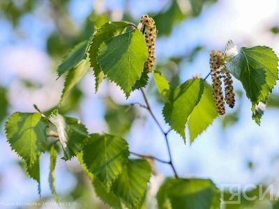 Святая Троица: запреты, приметы и традиции христианского праздника
