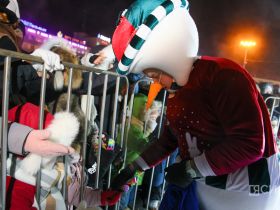 На площади Орджоникидзе зажгли ёлку Якутска