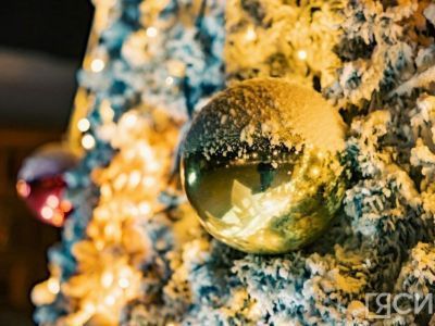 39% якутян предпочтут подарок-сюрприз на Новый год