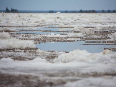 Ледоход на реке Лене в Якутии выйдет в устье 5-8 июня