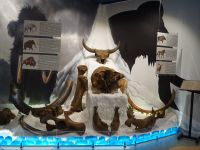 Сузунский краеведческий музей «Центр исторической информации»